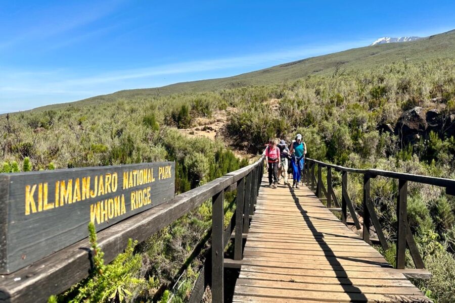 Kilimanjaro